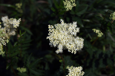 Similar image 22203556