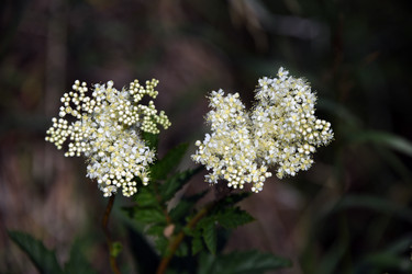 Similar image 22203557