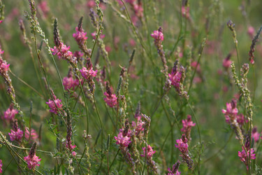 Similar image 22203558