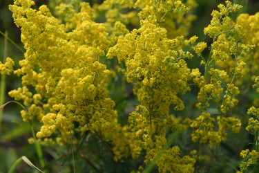 Similar image 22203559