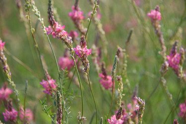 Similar image 22203560