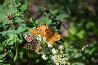 Similar image 22203561