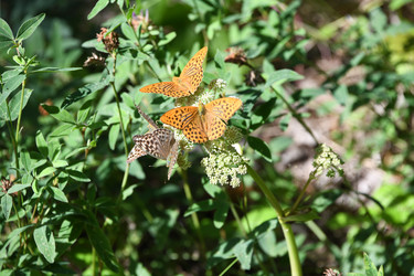 Similar image 22203562