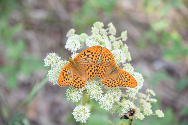 Similar image 22203563