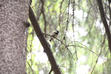 Similar image 22203564