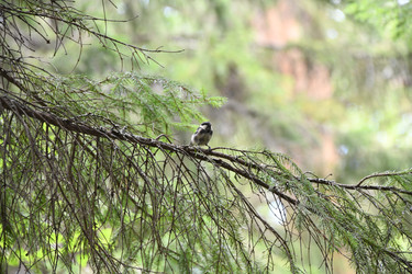 Similar image 22203565