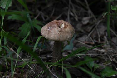 Similar image 22203085