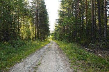 Similar image 22203566