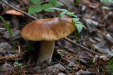 Similar image 22203087