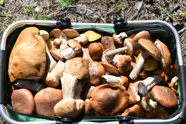 Similar image 22203088