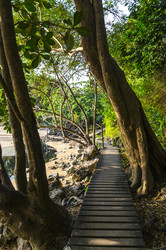 Similar image 22195287