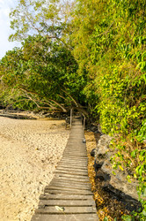 Similar image 22195289