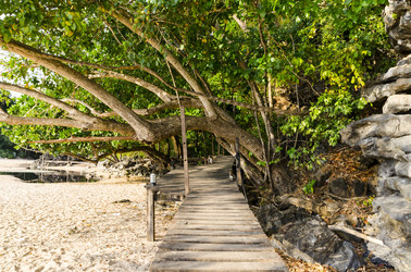 Similar image 22195290