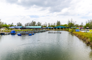 Similar image 22199769