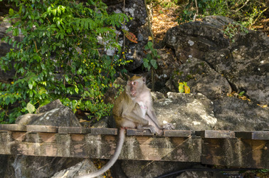 Similar image 22197552