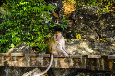 Similar image 22197553