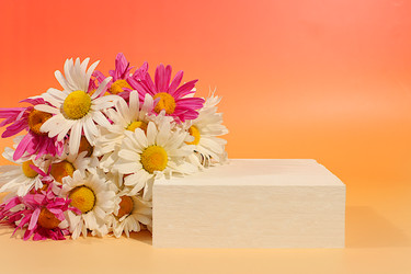 Similar image 22196062