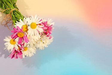 Similar image 22196063