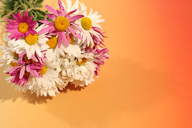 Similar image 22196064