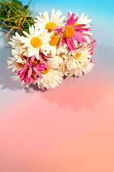 Similar image 22196065