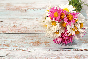 Similar image 22196066