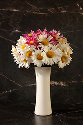 Similar image 22196068