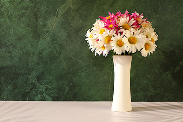 Similar image 22196069