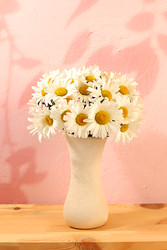 Similar image 22196074