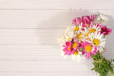 Similar image 22196076