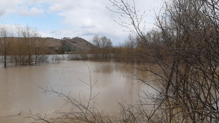 Similar image 22194924