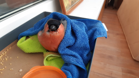 Similar image 22194925