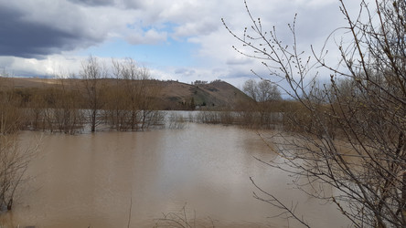 Similar image 22194927