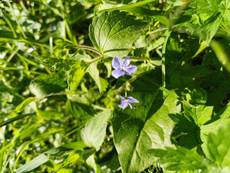 Similar image 22194930