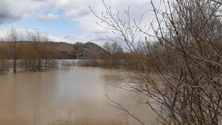 Similar image 22194931