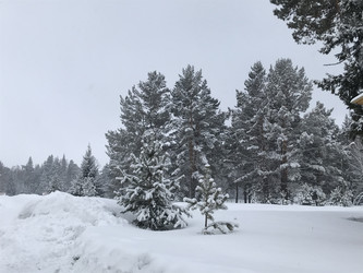 Similar image 22194935