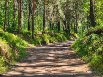 Similar image 22194946