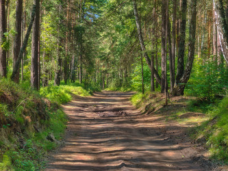 Similar image 22194947