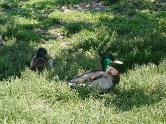 Similar image 22194948