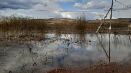 Similar image 22194959