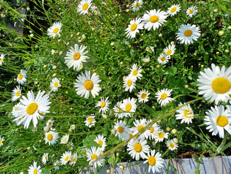 Similar image 22194964