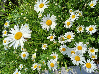 Similar image 22194965