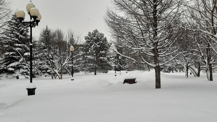 Similar image 22194969