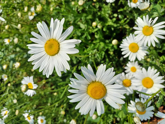 Similar image 22194971