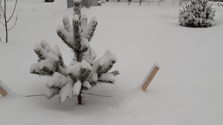 Similar image 22194972