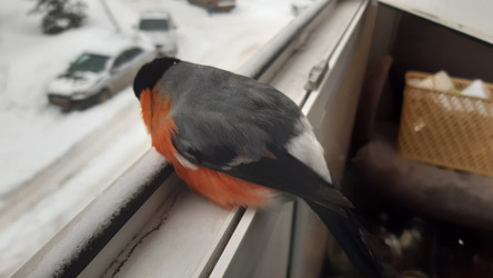 Similar image 22194973