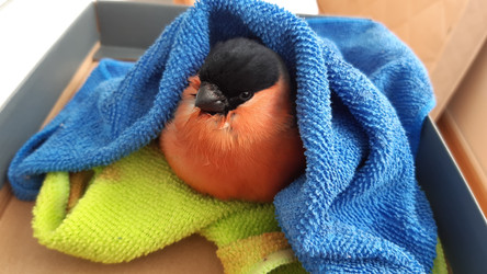 Similar image 22194974