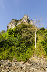 Similar image 22195292