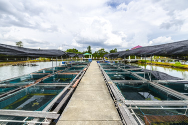 Similar image 22195301