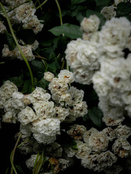 Similar image 22196077