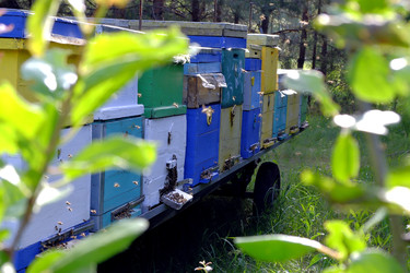 Similar image 22199537